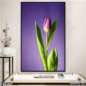 Tranh nụ hoa tulip trong màn đêm