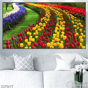 Tranh những luống hoa tulip dài thanh thang