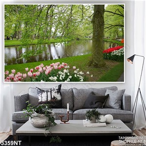 Tranh dòng sông chạy dọc khu vườn hoa tulip
