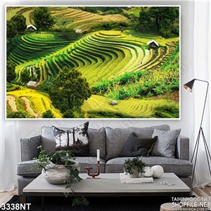 Tranh cánh đồng ruộng bậc thang