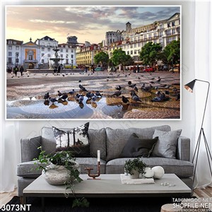 Tranh đàn bồ câu đậu trên lòng đường