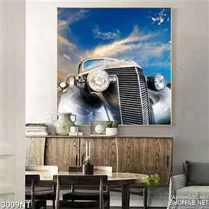 Tranh đầu xe ôtô treo tường