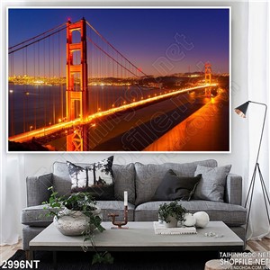 Tranh cầu Thuận Phước trên sông Hàn