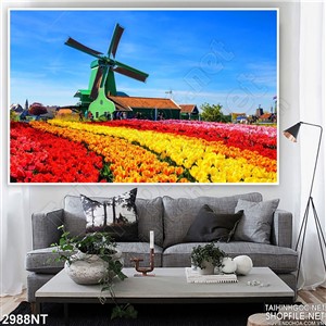Tranh cối xay gió trên đồng hoa tulip