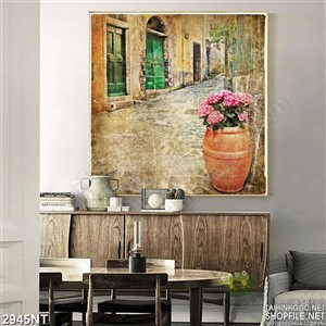 Tranh chậu hoa bên con đường vắng