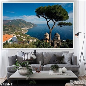 Tranh cây thông trên đồi sát biển