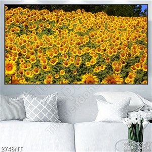 Tranh rừng hoa hướng dương chen chúc