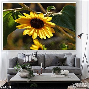 Tranh bông hướng dương cô đơn
