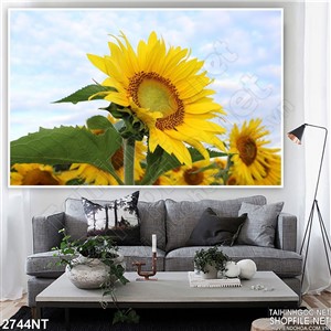 Tranh bông hướng dương vàng óng ánh 3d