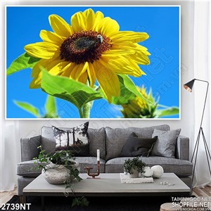 Tranh bông hoa hướng dương vàng óng ánh