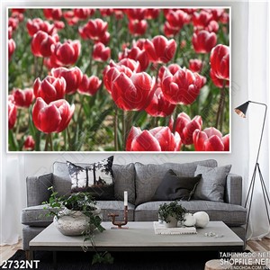 Tranh cánh đồng hoa tulip đỏ tươi