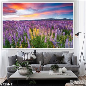 Tranh cánh đồng hoa tím dưới trời đỏ in uv