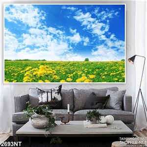 Tranh bầu trời xanh trên cánh đồng hoa vàng