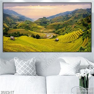 Tranh ruộng bậc thang trên những đỉnh đồi