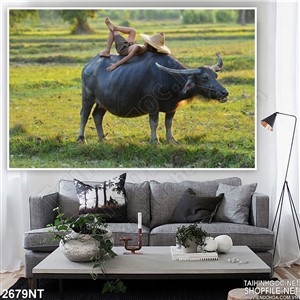 Tranh chú bé ngủ trên lưng trâu