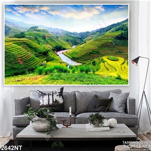 Tranh cánh đồng ruộng trên sông in uv