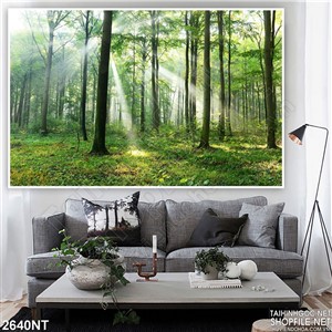 Tranh tía nắng chiếu sáng cả khu rừng