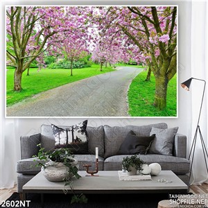 Tranh con đường trên khu vườn hoa đào