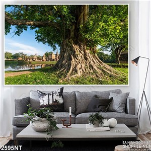 Tranh cây đa cổ thụ bên sông