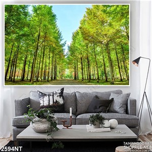 Tranh lối đi vào rừng thông xanh