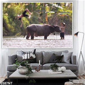 Tranh những đứa trẻ tắm cho trâu