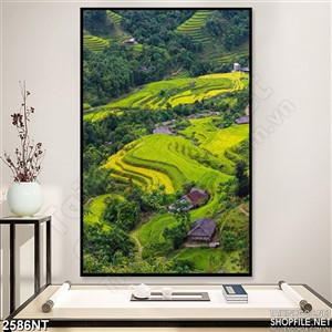 Tranh ruộng bậc thang trên những quả đồi