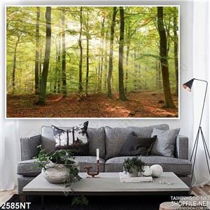 Tranh nắng chiếu qua khu rừng in uv