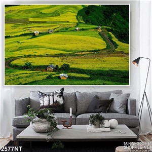 Tranh con đường làng quanh co trên đồng lúa