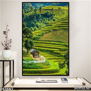 Tranh ruộng bậc thang bao quanh đồi