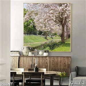 Tranh mùa hoa anh đào nở treo tường