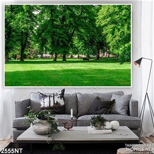 Tranh cây xanh trên thảm cỏ non