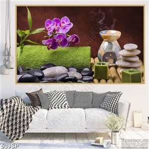 Tranh đẹp dụng cụ spa mới nhất