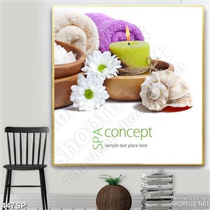Tranh spa đẹp vỏ sò và hoa