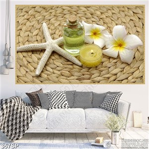 Tranh spa đồ dụng cụ trang trí