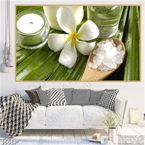 Tranh đẹp spa oliu trang trí