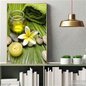 Tranh spa khổ dọc nguyên liệu massage