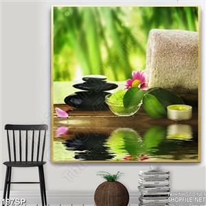 Tranh spa dụng cụ đá muối nóng thiên nhiên