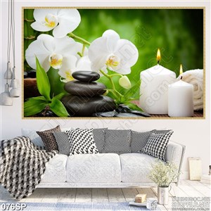 Tranh in spa hoa lan trắng đẹp