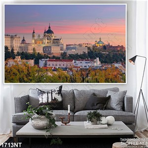 Tranh lâu đài nhìn từ xa