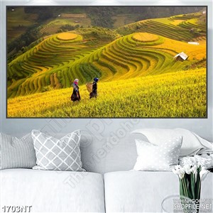 Tranh đi thu hoạch lúa