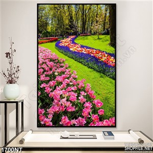 Tranh con đường hoa tulip