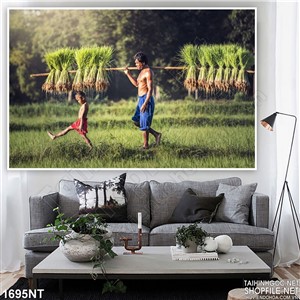 Tranh gánh lúa in uv