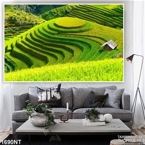 Tranh ruộng bậc thang in uv
