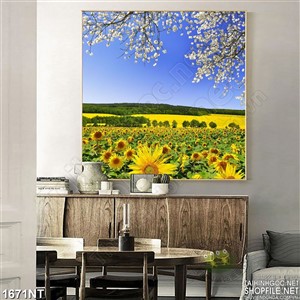 Tranh hướng dương và anh đào