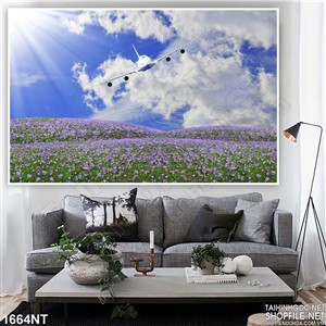 Tranh áy bay trên trời xanh