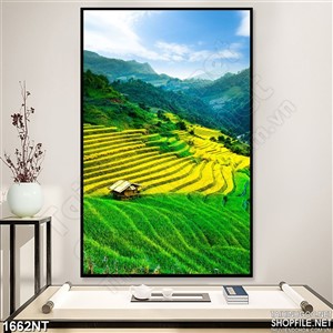 Tranh đồng bằng xanh