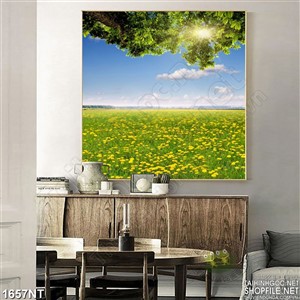 Tranh đón nắng bình minh