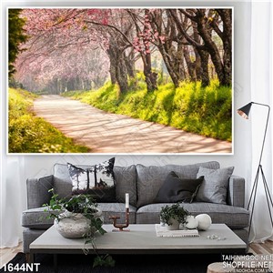 Tranh cung đường anh đào