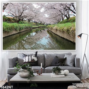 Tranh 2 hàng anh đào trên kênh