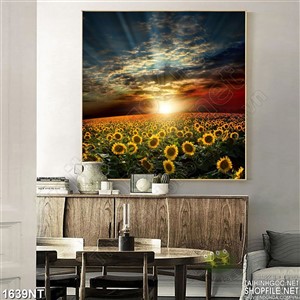 Tranh tranh treo trang trí